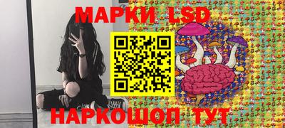 прущие грибы Заводоуковск