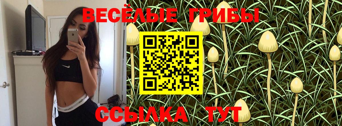 Моздок  Псилоцибиновые грибы GOLDEN TEACHER  Вход с VPN 