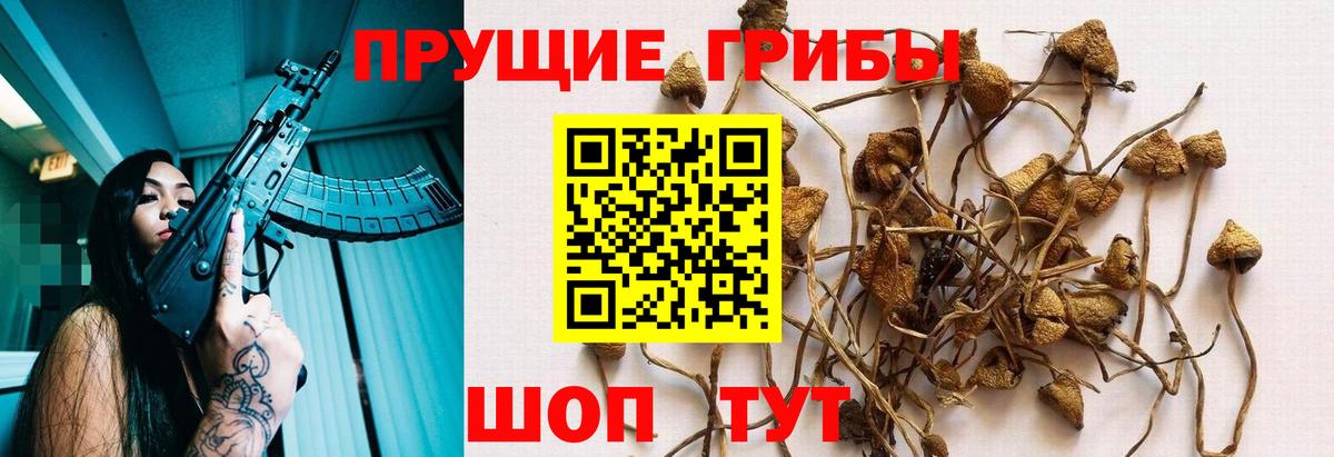 Галлюциногенные грибы мухоморы Моздок